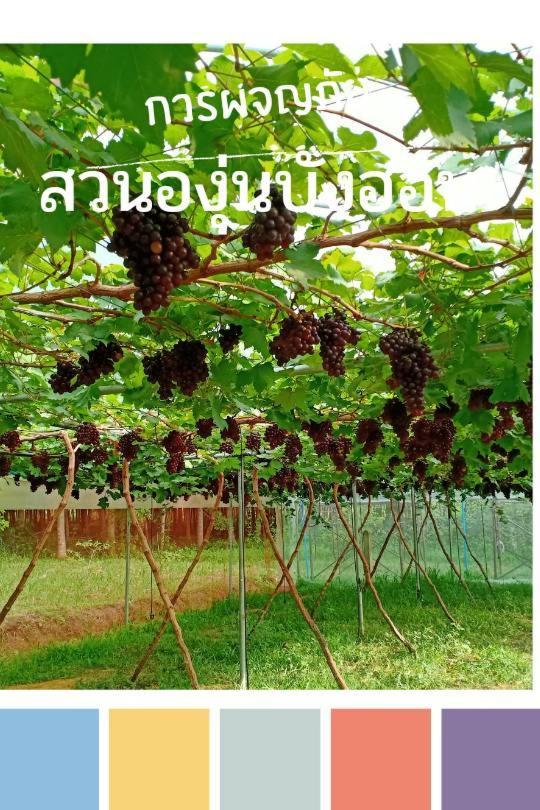 Bang Hon Homestay Ko Yao Noi Exteriér fotografie